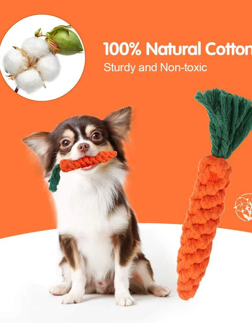 Load image into Gallery viewer, 5 Pieces Dog Chew Toys, Safe Durable Puppy Teething Chewing Braided Toys, Medium Large Pet Dog Cotton Knot Paws Fun Molar for Clean Teeth Healthy
