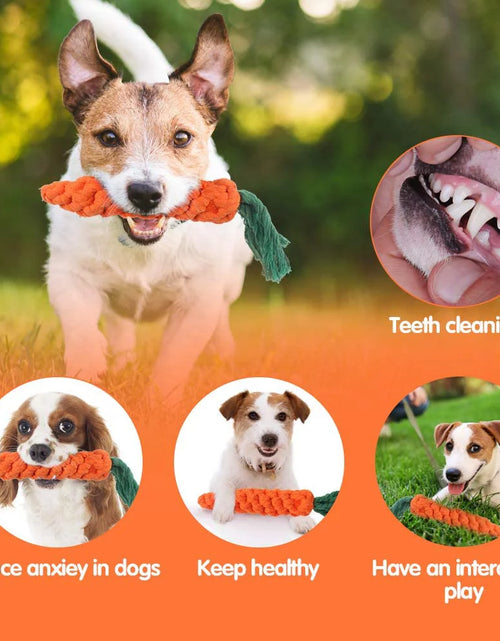 Load image into Gallery viewer, 5 Pieces Dog Chew Toys, Safe Durable Puppy Teething Chewing Braided Toys, Medium Large Pet Dog Cotton Knot Paws Fun Molar for Clean Teeth Healthy
